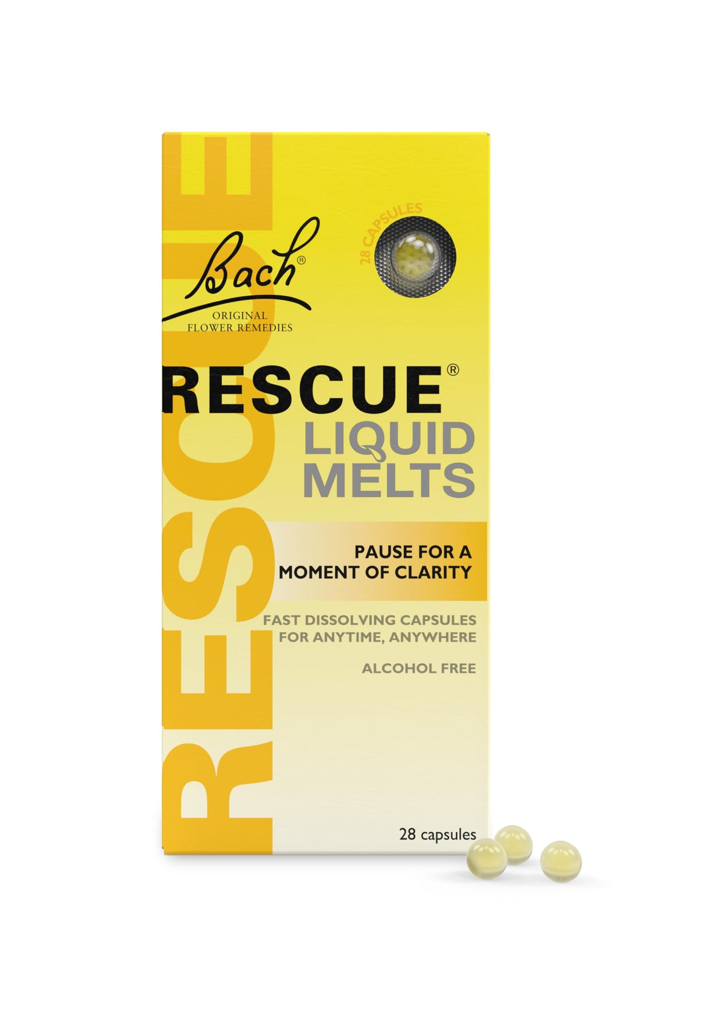 Bach - Rescue day