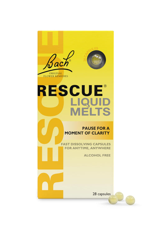 Bach - Rescue day