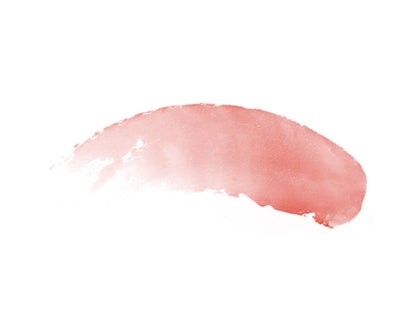 Burts Bees Rose Lip Balm